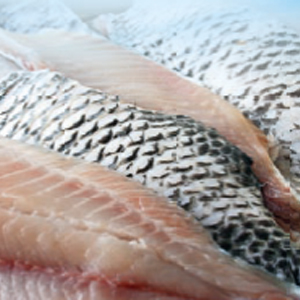 Tilapia gefileerd van heel